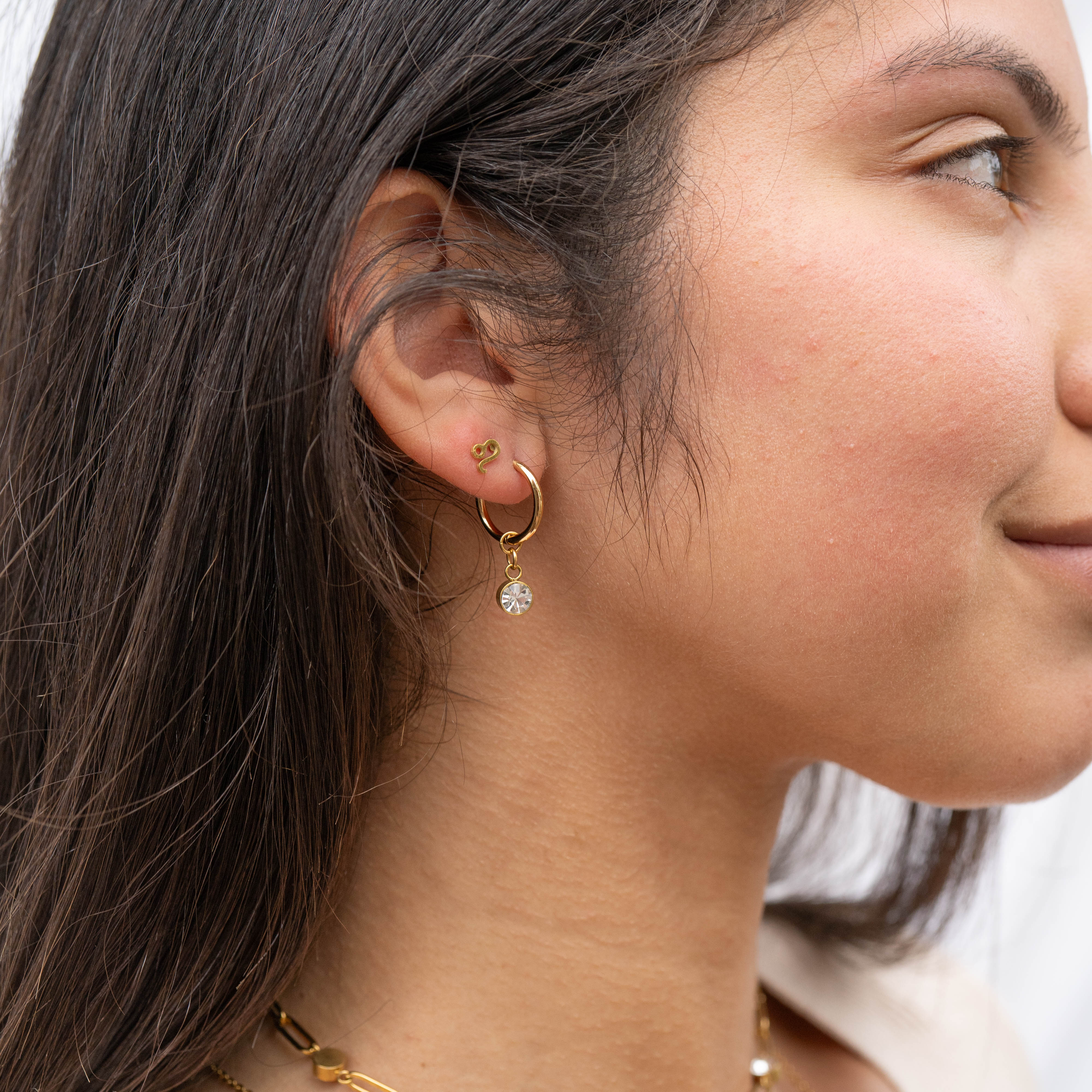 18K Gold PVD Birthstone Huggie Earrings / ERJ0074 - Image 11