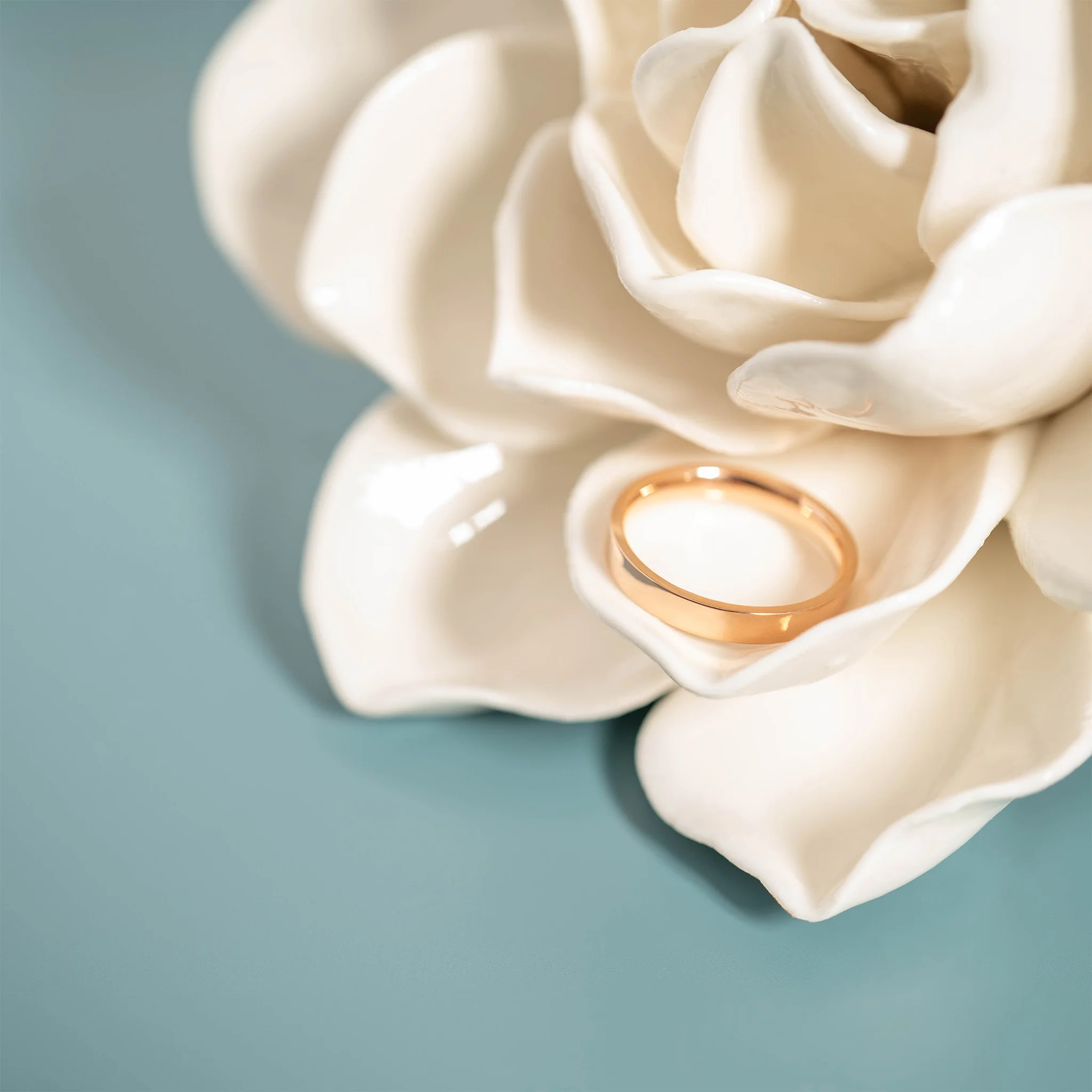 18K Rose Gold PVD Stainless Steel Flat Ring / CFR8024 - Image 7